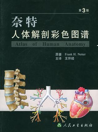 奈特人體解剖彩色圖譜